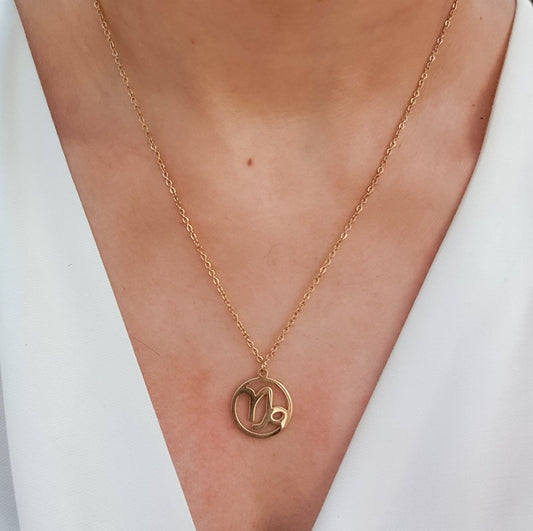 Gold Zodiac Necklace (Capricorn)